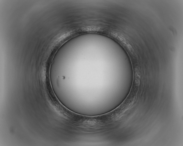 X0000113140631200909181730