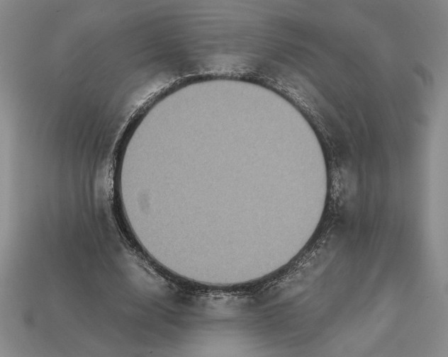 X0000113140632200909181730