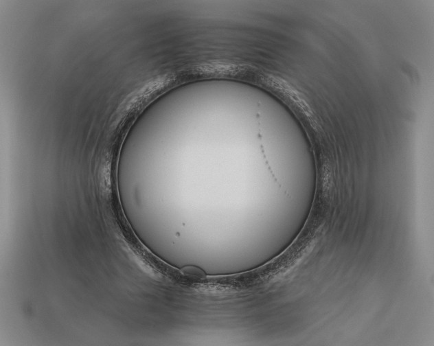 X0000113140633200909181730