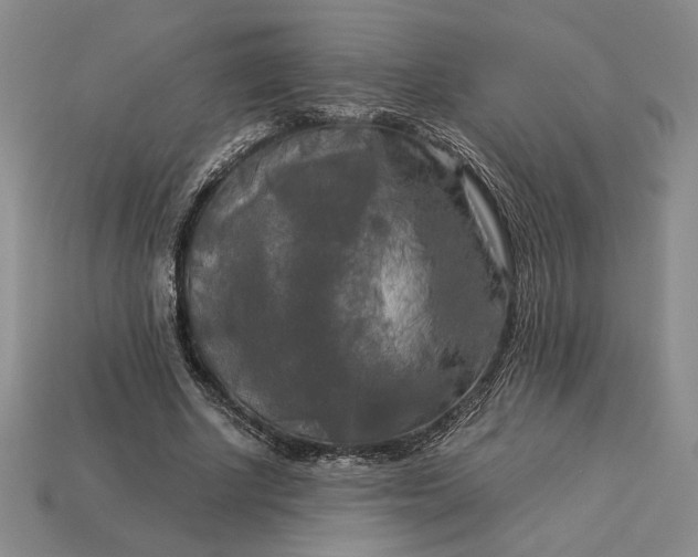 X0000113140634200909181730