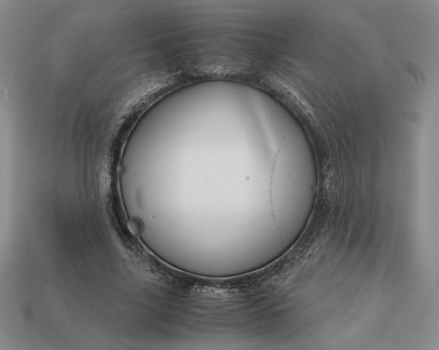 X0000113140635200909181730