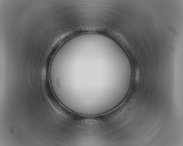 X0000113140636200909181730