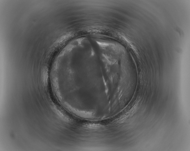 X0000113140637200909181730