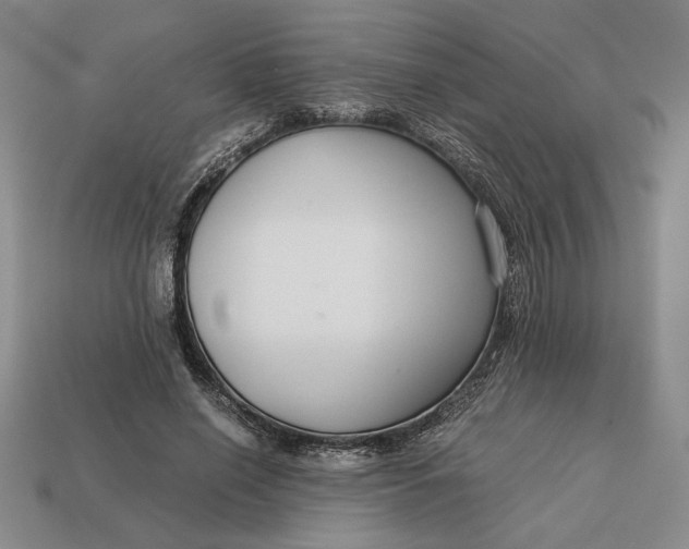 X0000113140638200909181730