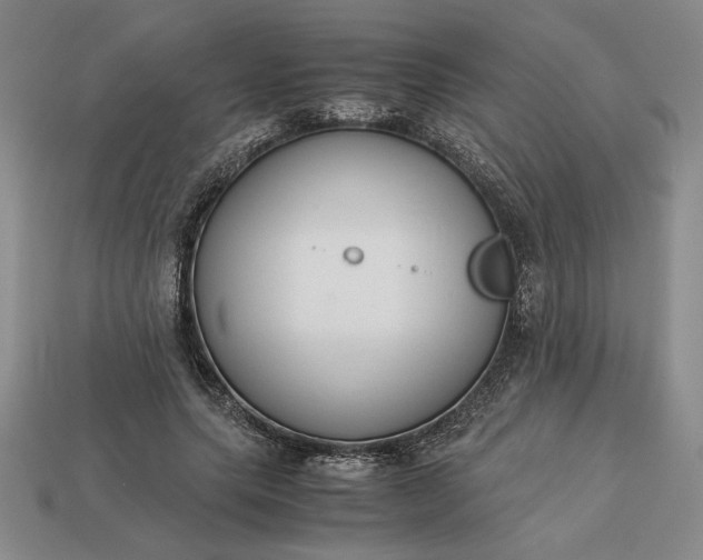 X0000113140639200909181730