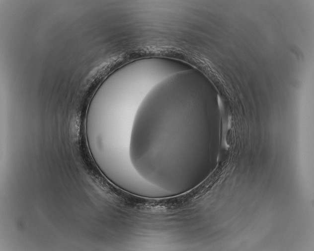 X0000113140640200909181730