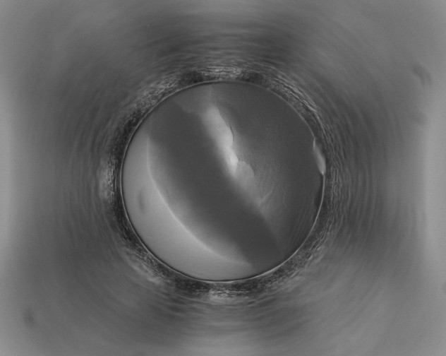 X0000113140641200909181730