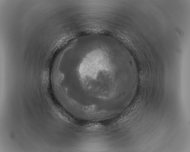 X0000113140642200909181730