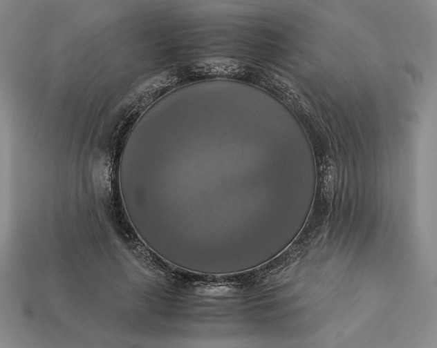 X0000113140643200909181730