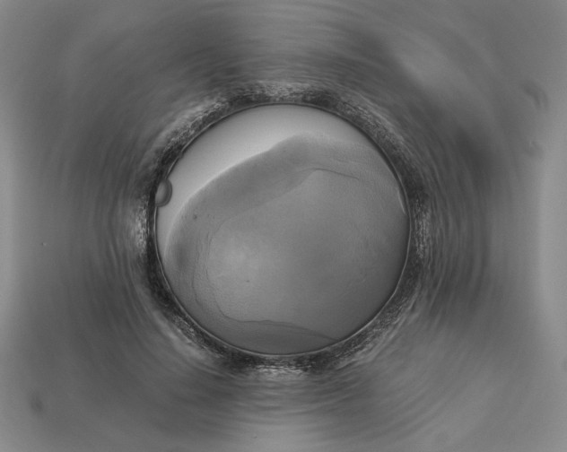 X0000113140644200909181730