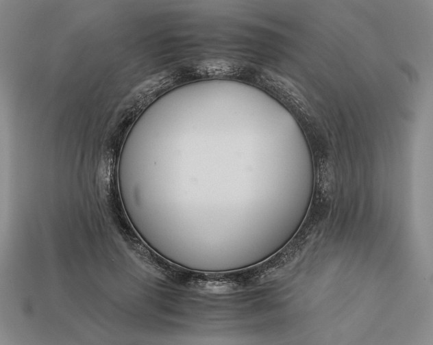 X0000113140645200909181730