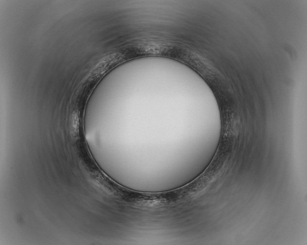 X0000113140646200909181730