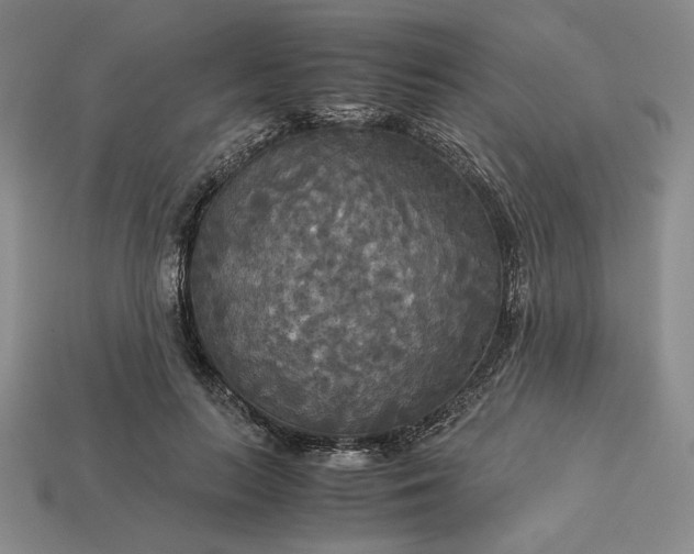 X0000113140647200909181730