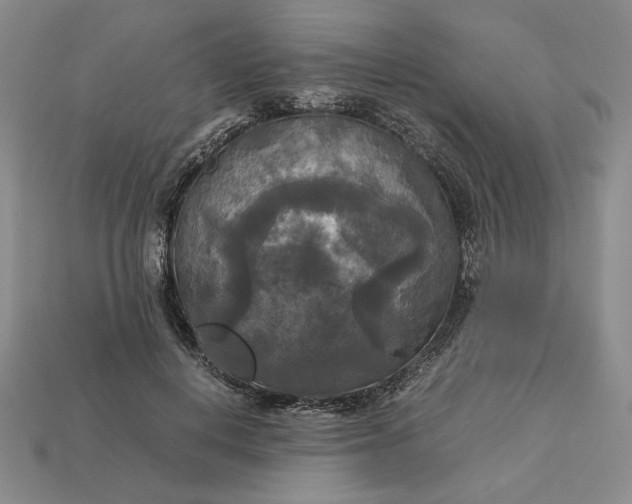 X0000113140648200909181730