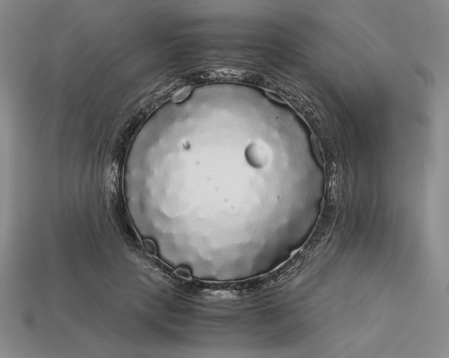 X0000113140649200909181730