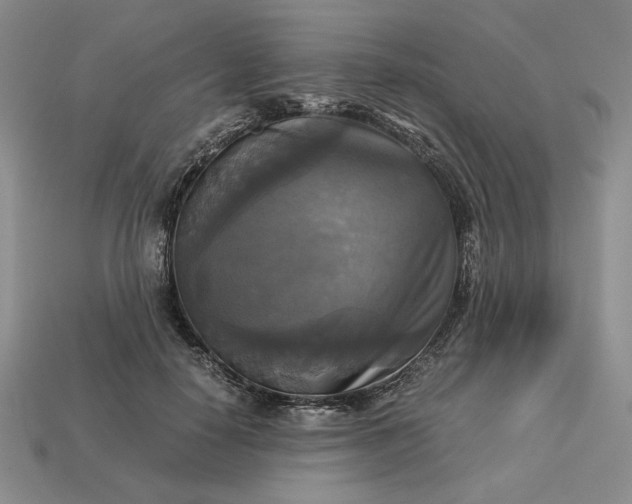 X0000113140650200909181730