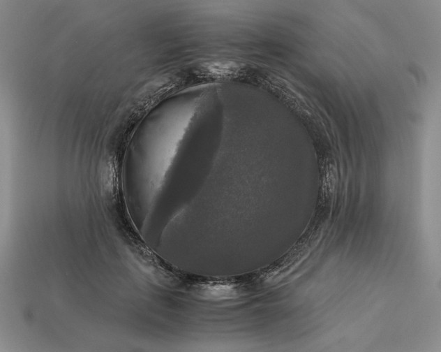 X0000113140651200909181730