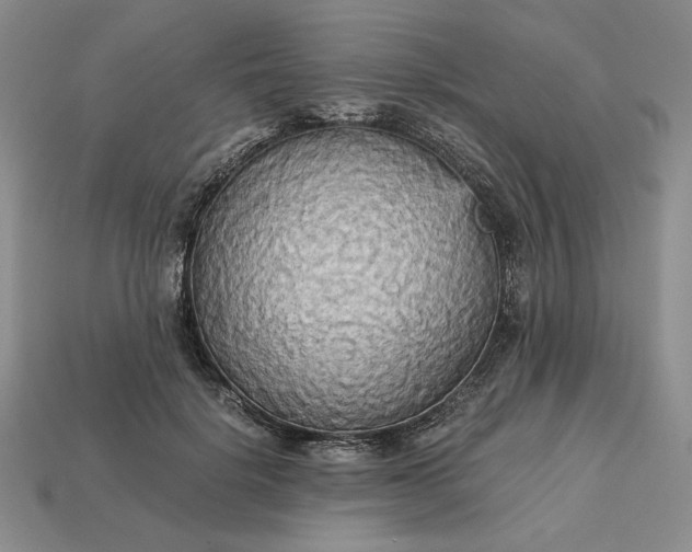 X0000113140652200909181730