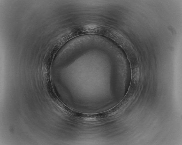 X0000113140653200909181730