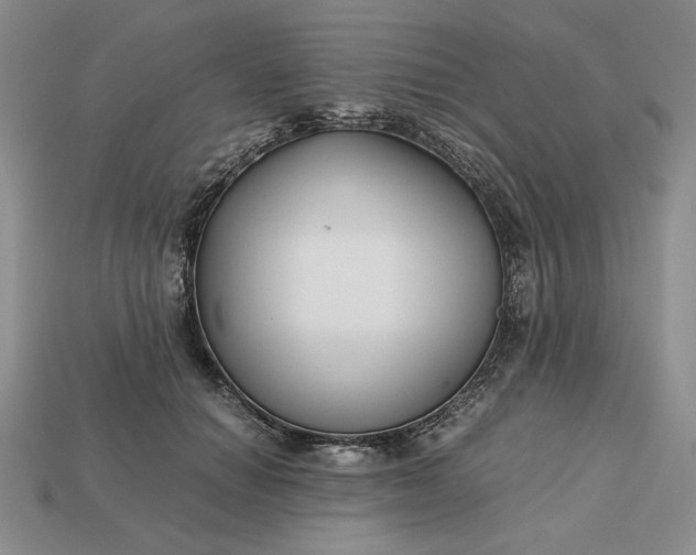 X0000113140654200909181730