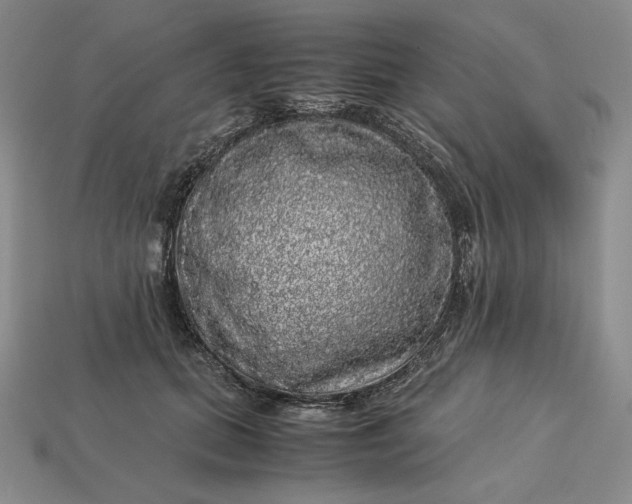 X0000113140655200909181730