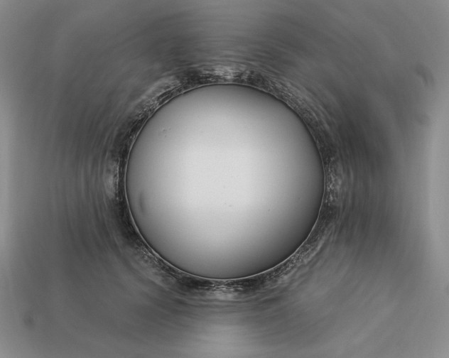 X0000113140656200909181730