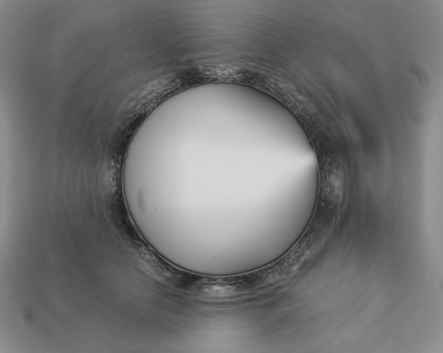 X0000113140658200909181730