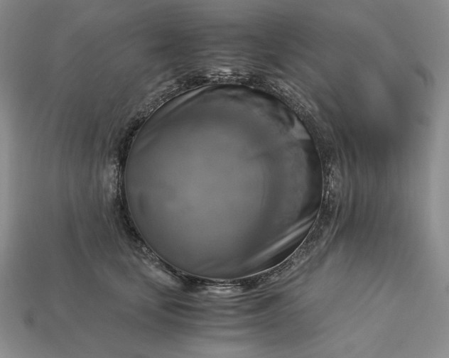 X0000113140659200909181730