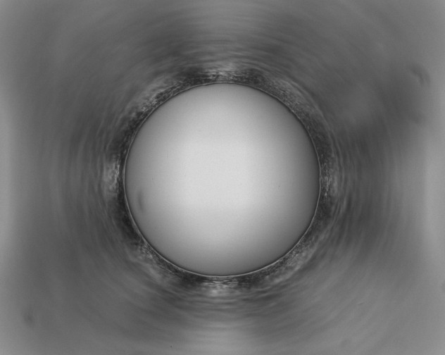 X0000113140660200909181730