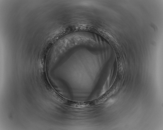 X0000113140661200909181730