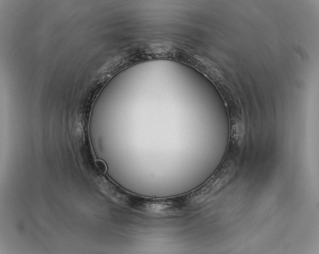 X0000113140662200909181730