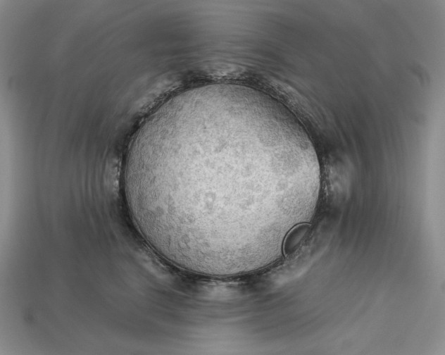 X0000113140664200909181730