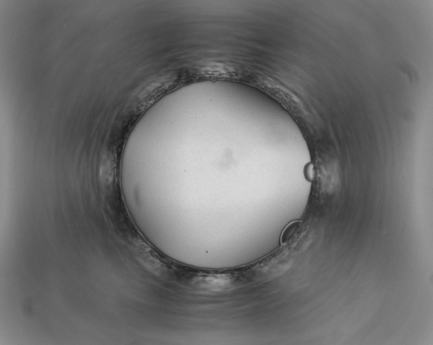 X0000113140665200909181730