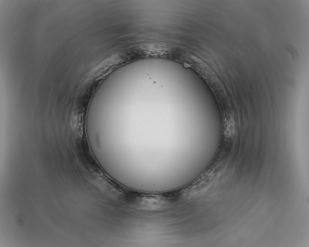 X0000113140666200909181730