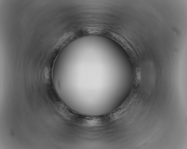 X0000113140667200909181730