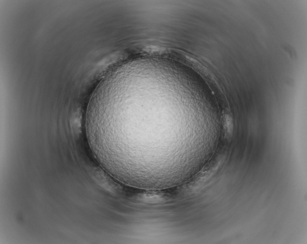 X0000113140668200909181730