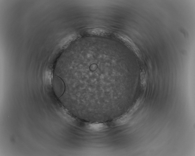 X0000113140669200909181730