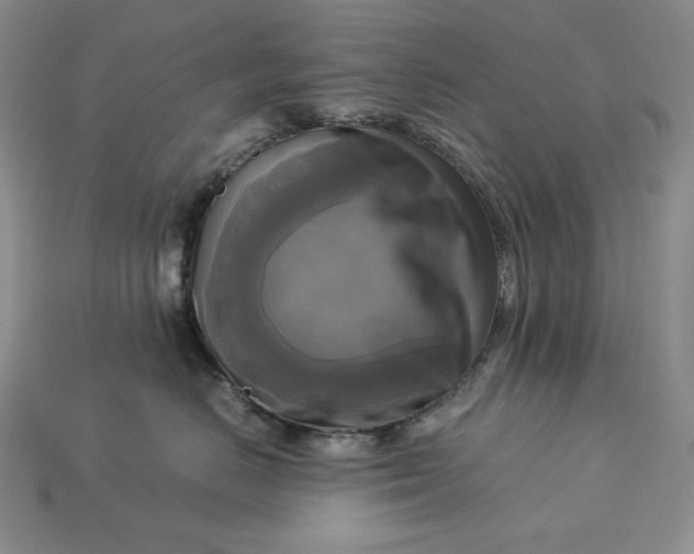 X0000113140670200909181730