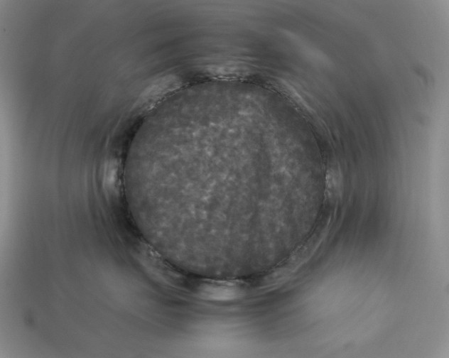 X0000113140671200909181730