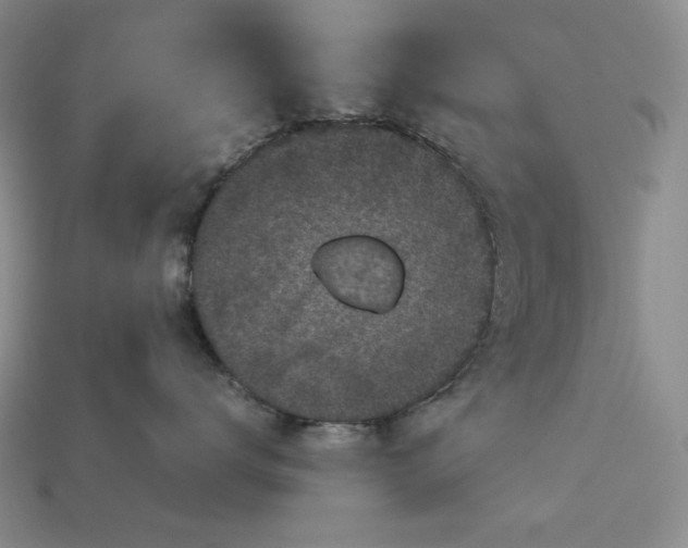 X0000113140672200909181730