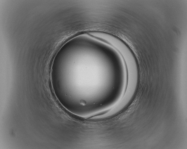 X0000113140673200909181730