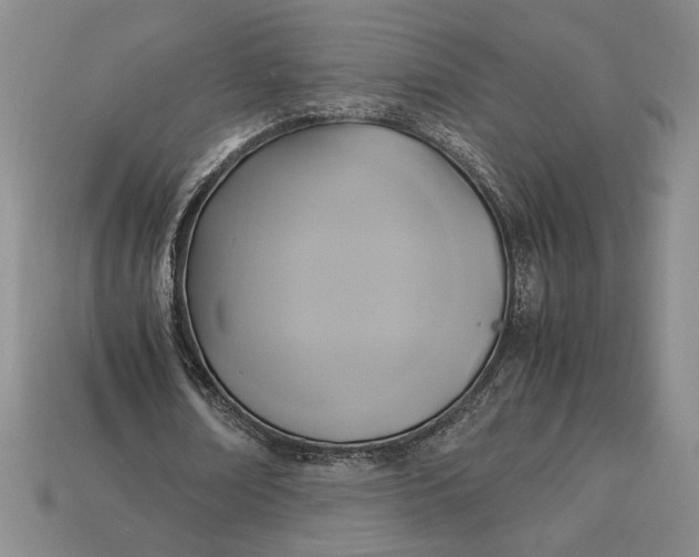 X0000113140674200909181730