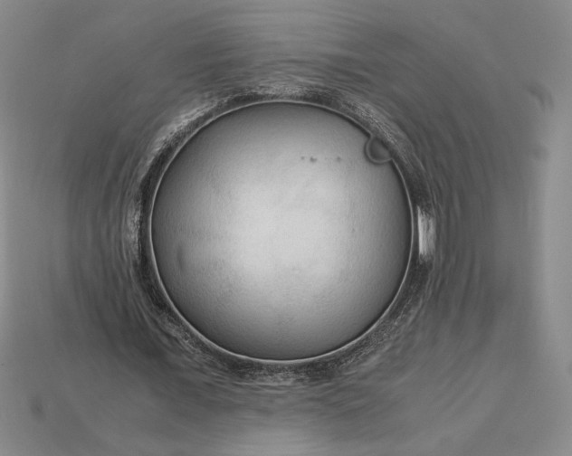 X0000113140675200909181730