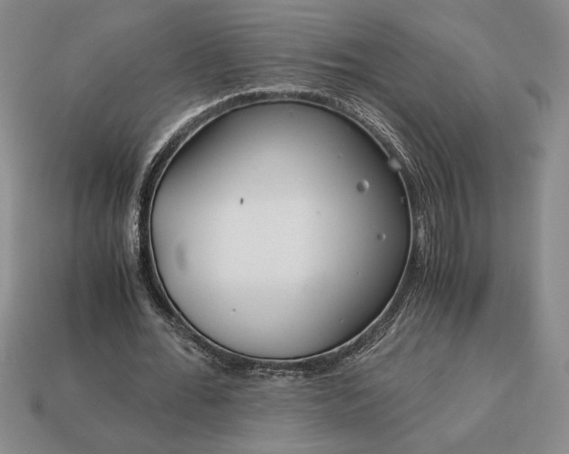 X0000113140676200909181730