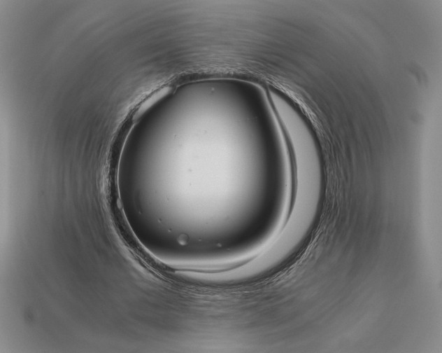 X0000113140677200909181730