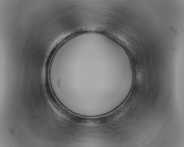 X0000113140678200909181730