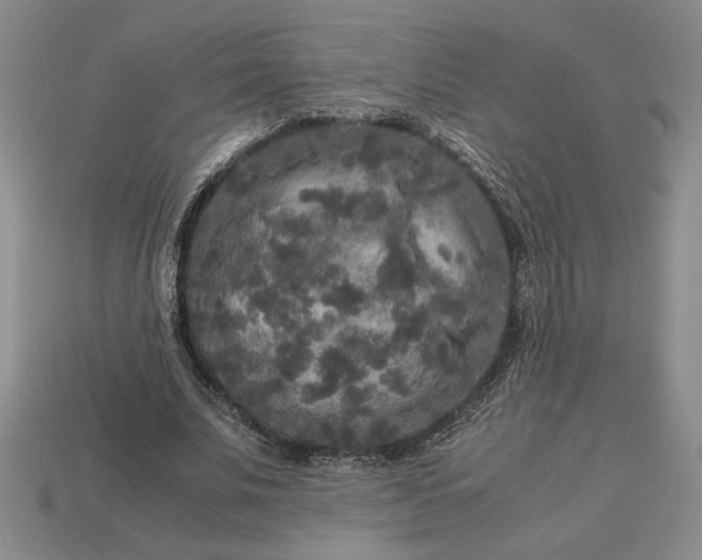 X0000113140679200909181730