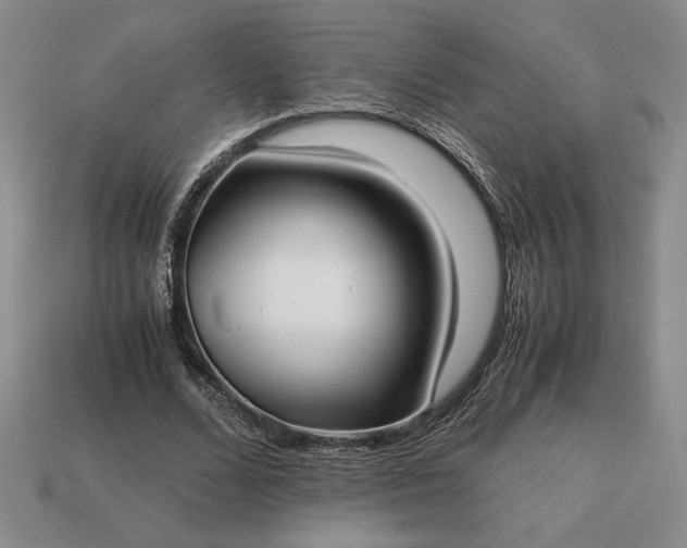 X0000113140680200909181730