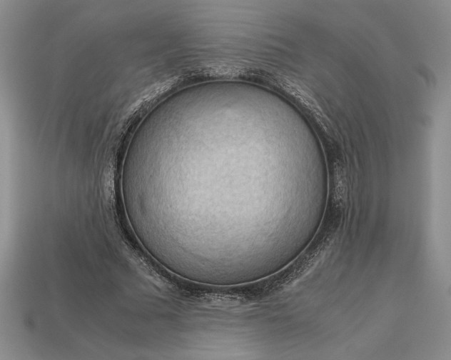 X0000113140681200909181730