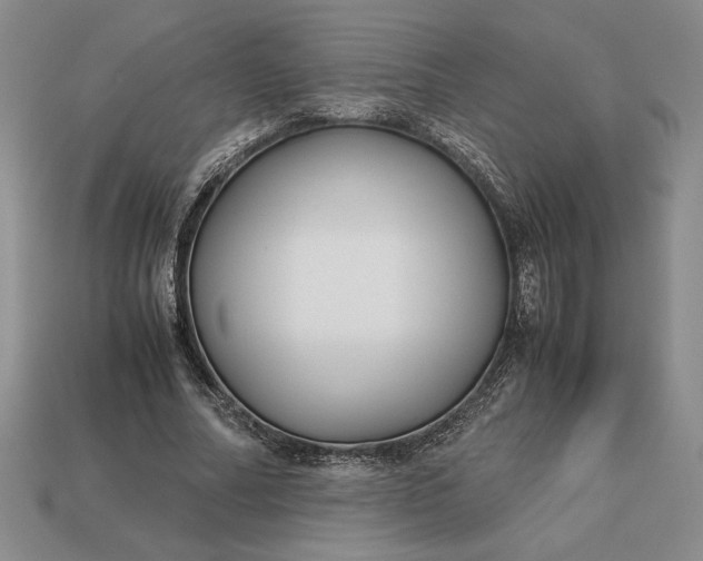 X0000113140682200909181730